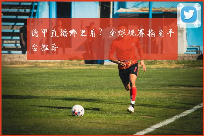 德甲直播哪里看？全球观赛指南平台推荐