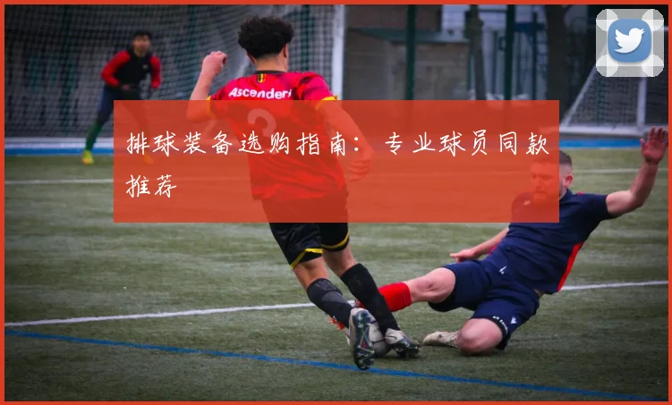 排球装备选购指南：专业球员同款推荐