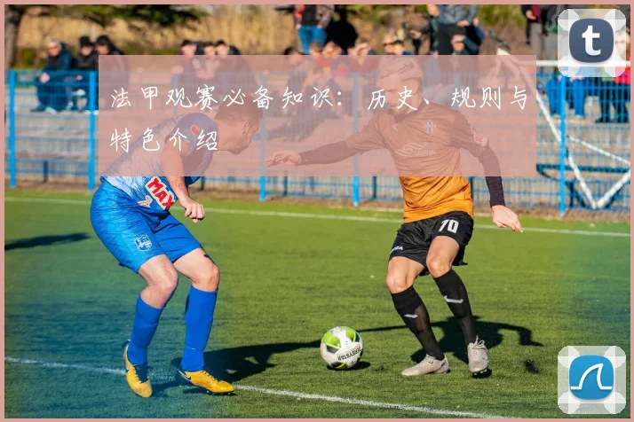 法甲观赛必备知识：历史、规则与特色介绍