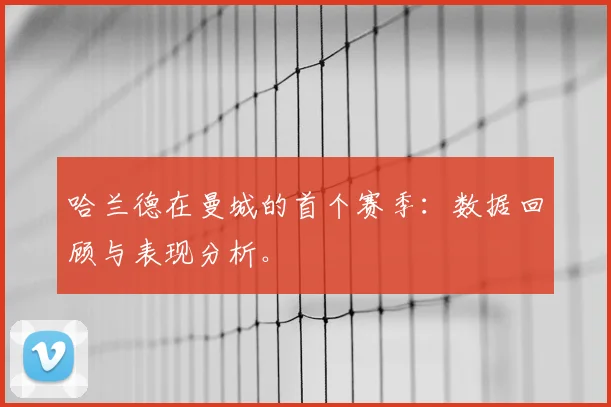 哈兰德在曼城的首个赛季：数据回顾与表现分析。
