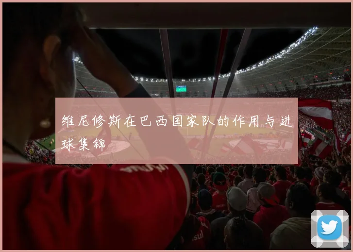 维尼修斯在巴西国家队的作用与进球集锦